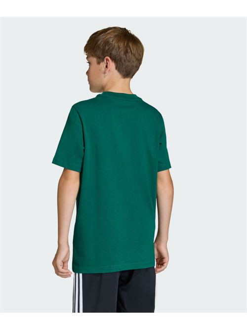 tee ADIDAS ORIGINAL | KE0450CGREEN